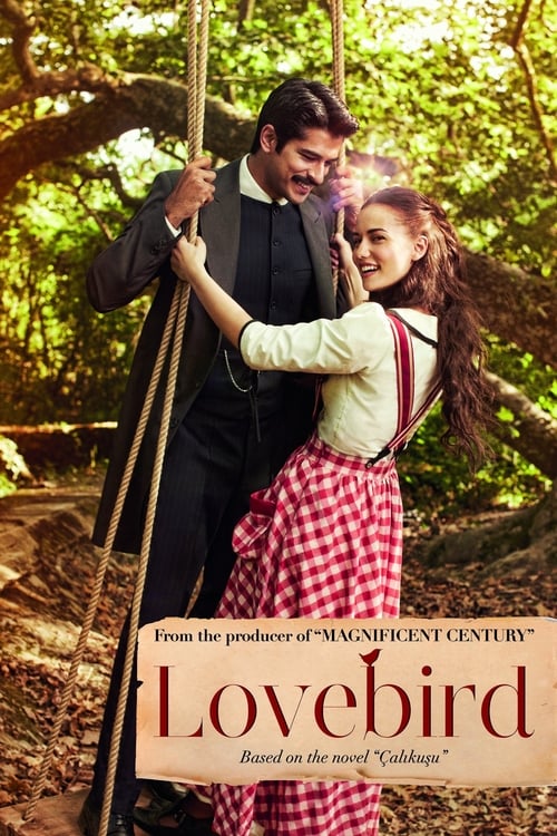 مسلسل طائر النمنمة الحلقة 11